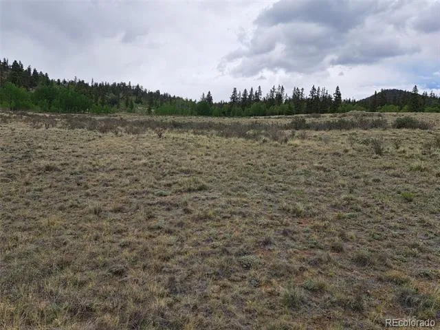 80 Longbow Court Jefferson, CO 80456
