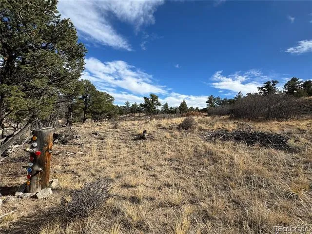 2926 E Path Cotopaxi, CO 81223