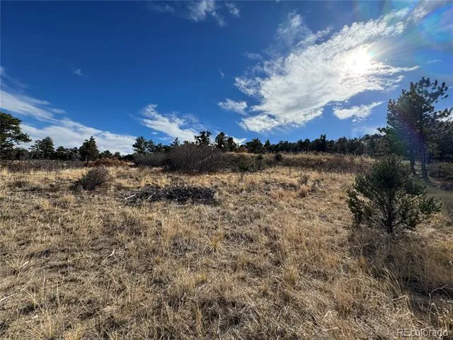 2926 E Path Cotopaxi, CO 81223