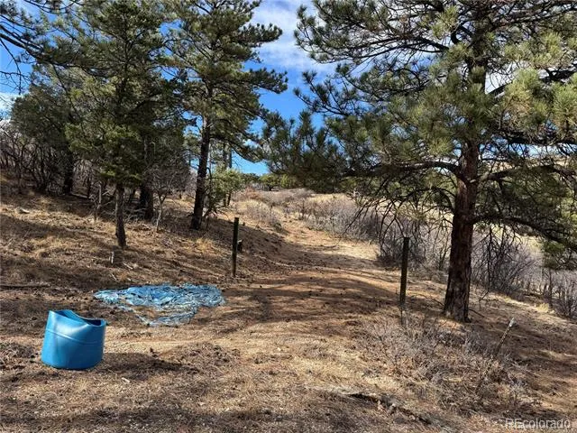 2926 E Path Cotopaxi, CO 81223