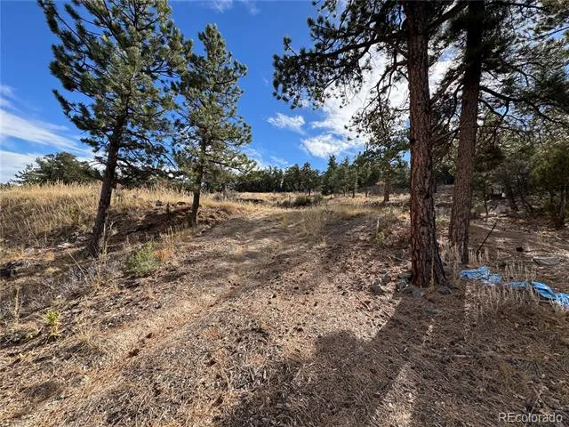 2926 E Path Cotopaxi, CO 81223