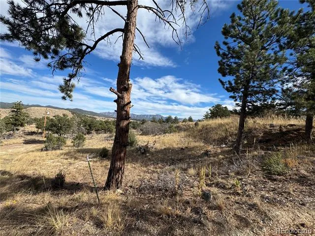 2926 E Path Cotopaxi, CO 81223