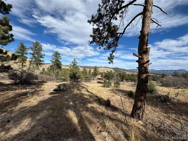 2926 E Path Cotopaxi, CO 81223