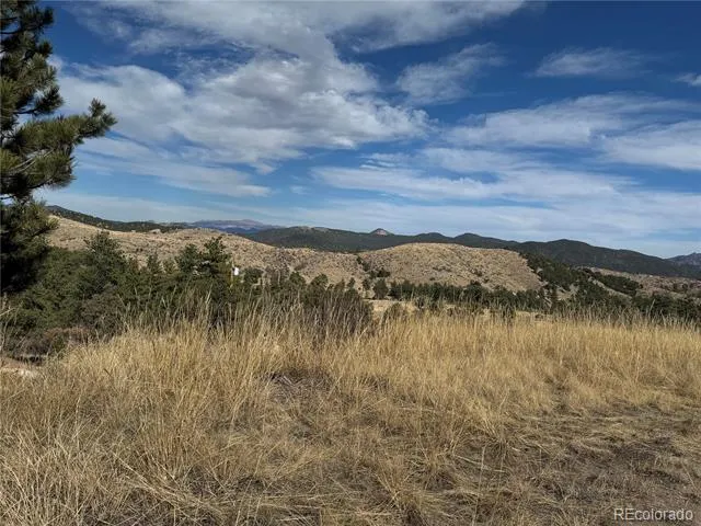 2926 E Path Cotopaxi, CO 81223
