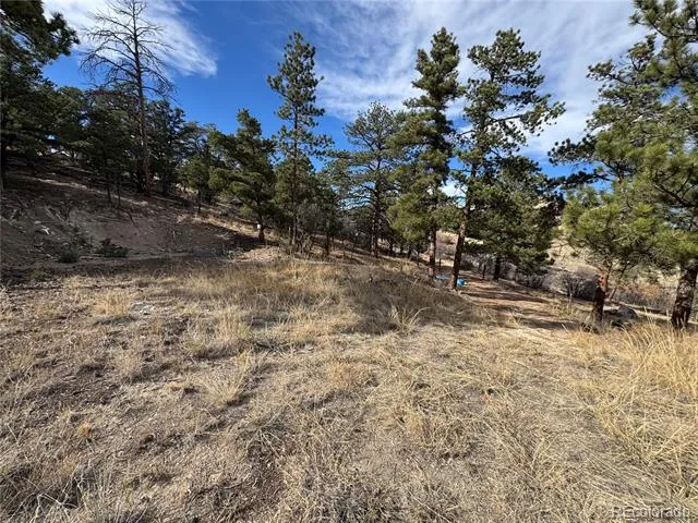 2926 E Path Cotopaxi, CO 81223