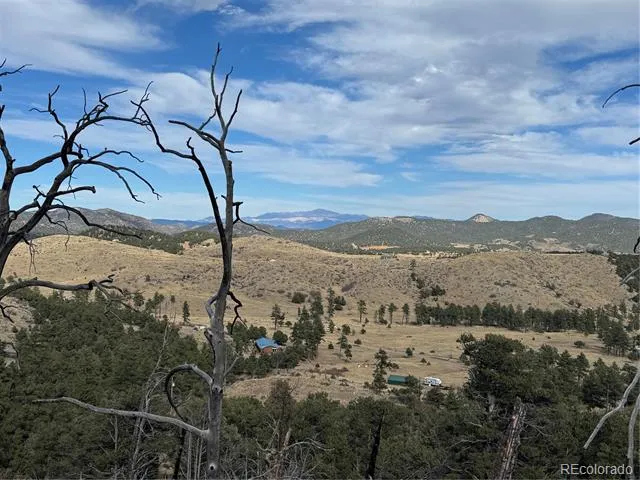 2926 E Path Cotopaxi, CO 81223