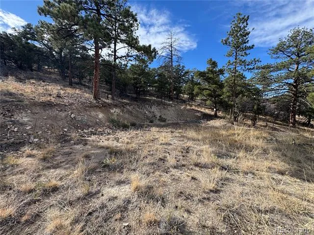 2926 E Path Cotopaxi, CO 81223