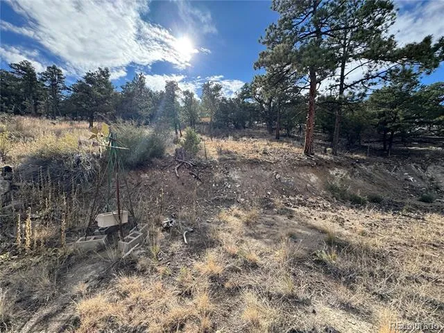 2926 E Path Cotopaxi, CO 81223