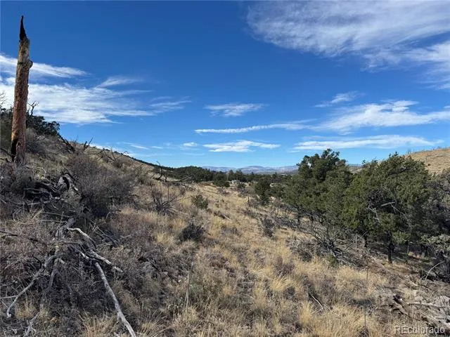 2926 E Path Cotopaxi, CO 81223