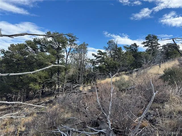 2926 E Path Cotopaxi, CO 81223