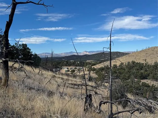 2926 E Path Cotopaxi, CO 81223