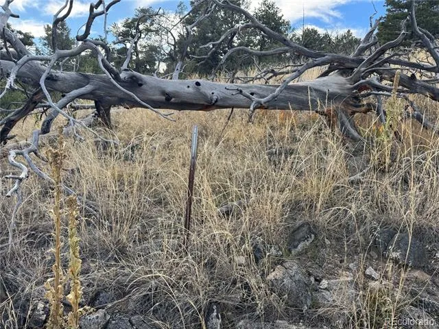 2926 E Path Cotopaxi, CO 81223