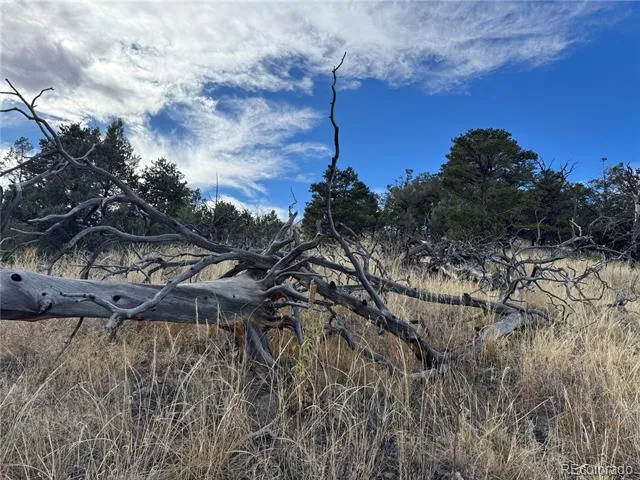 2926 E Path Cotopaxi, CO 81223