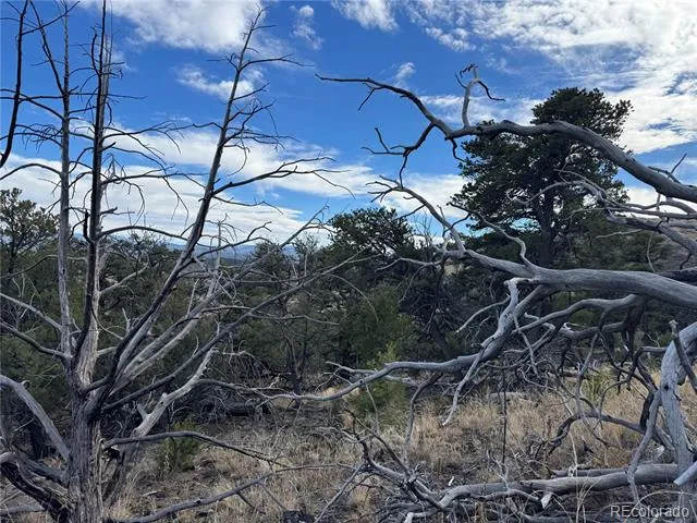 2926 E Path Cotopaxi, CO 81223