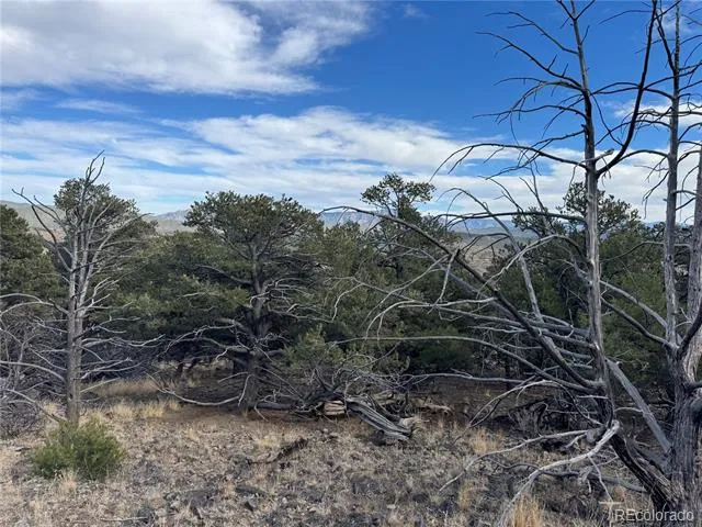 2926 E Path Cotopaxi, CO 81223