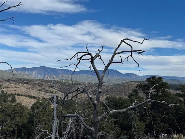 2926 E Path Cotopaxi, CO 81223