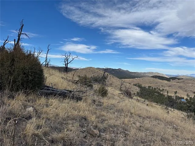 2926 E Path Cotopaxi, CO 81223