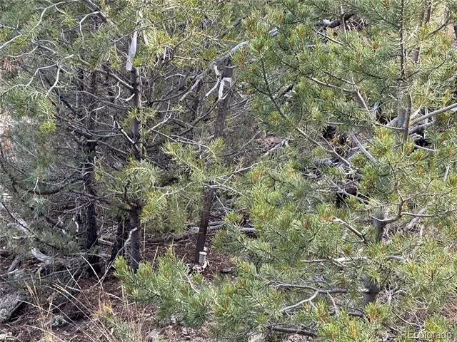 2926 E Path Cotopaxi, CO 81223