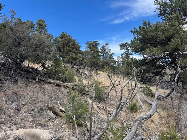 2926 E Path Cotopaxi, CO 81223