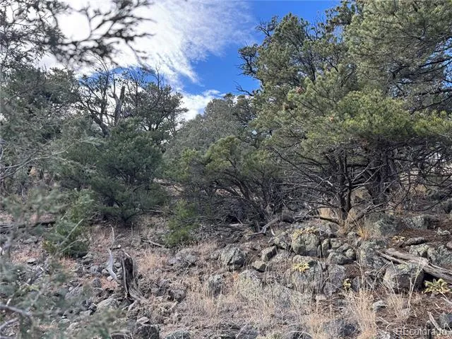 2926 E Path Cotopaxi, CO 81223