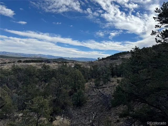 2926 E Path Cotopaxi, CO 81223