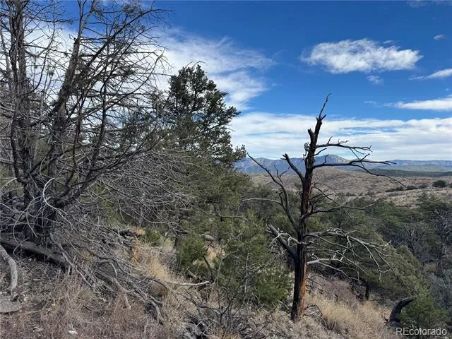 2926 E Path Cotopaxi, CO 81223