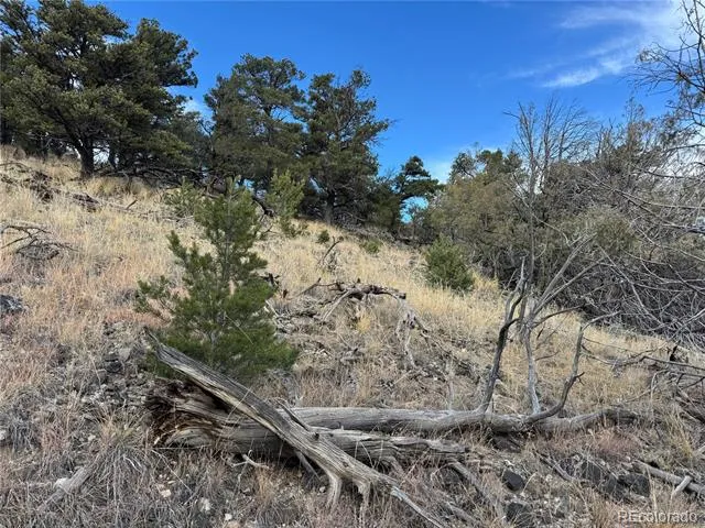 2926 E Path Cotopaxi, CO 81223