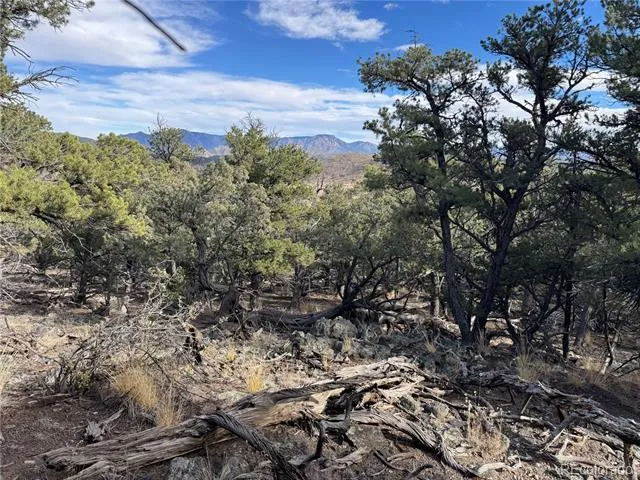2926 E Path Cotopaxi, CO 81223