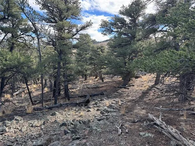 2926 E Path Cotopaxi, CO 81223