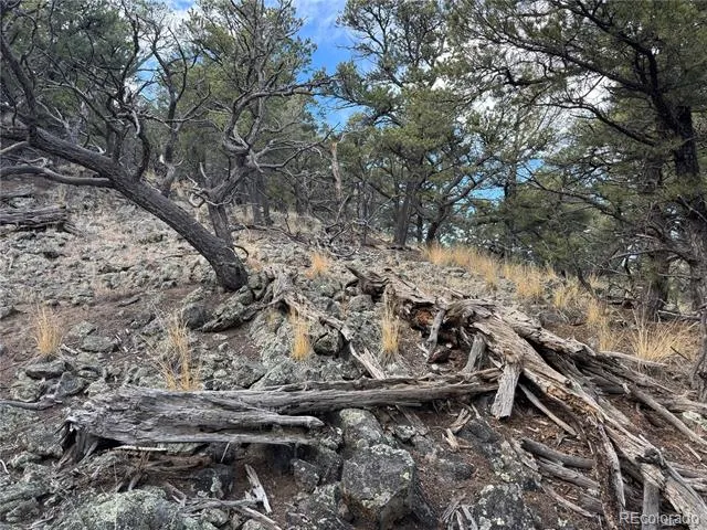 2926 E Path Cotopaxi, CO 81223