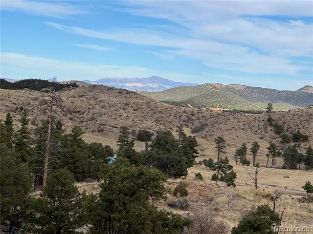 2926 E Path Cotopaxi, CO 81223