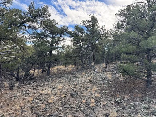 2926 E Path Cotopaxi, CO 81223
