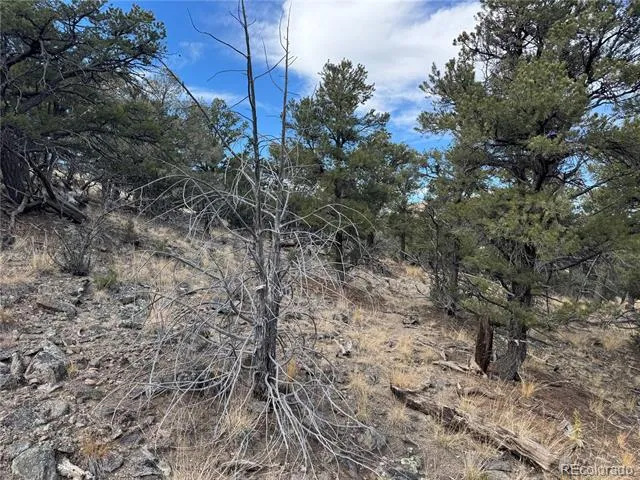 2926 E Path Cotopaxi, CO 81223