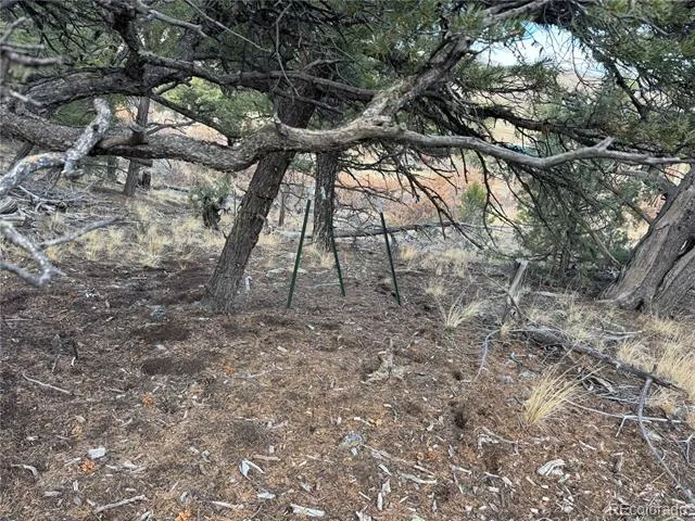 2926 E Path Cotopaxi, CO 81223