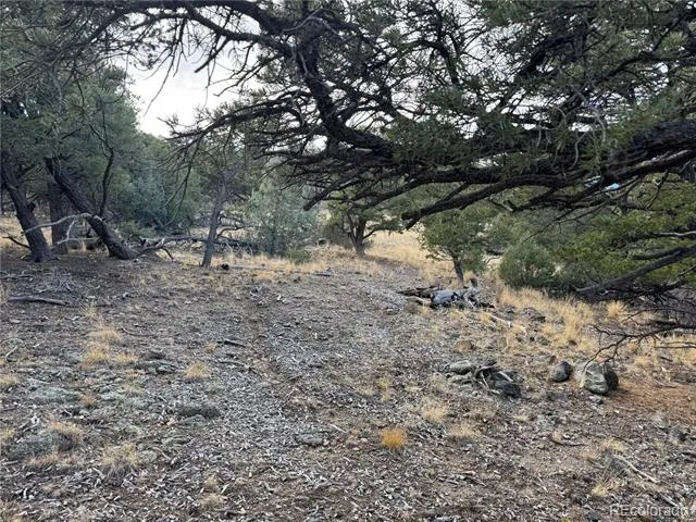 2926 E Path Cotopaxi, CO 81223