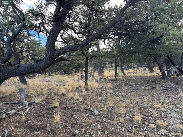 2926 E Path Cotopaxi, CO 81223