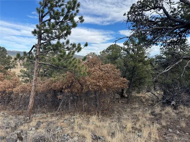 2926 E Path Cotopaxi, CO 81223