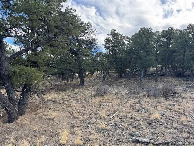 2926 E Path Cotopaxi, CO 81223