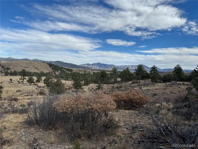 2926 E Path Cotopaxi, CO 81223
