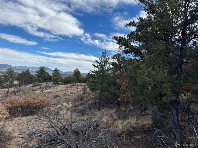 2926 E Path Cotopaxi, CO 81223
