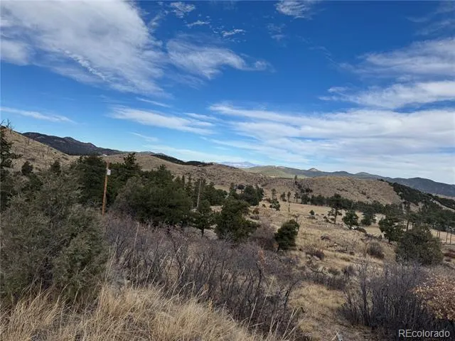 2926 E Path Cotopaxi, CO 81223