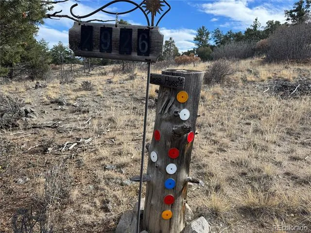 2926 E Path Cotopaxi, CO 81223
