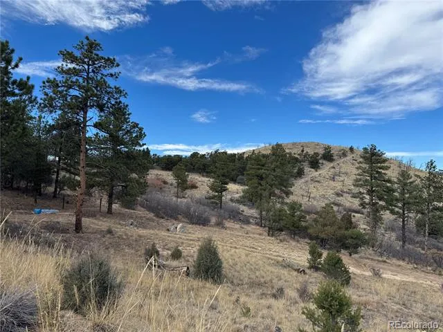 2926 E Path Cotopaxi, CO 81223