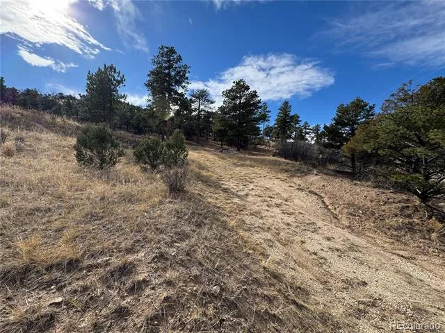 2926 E Path Cotopaxi, CO 81223