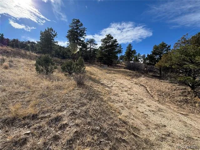 2926 E Path Cotopaxi, CO 81223