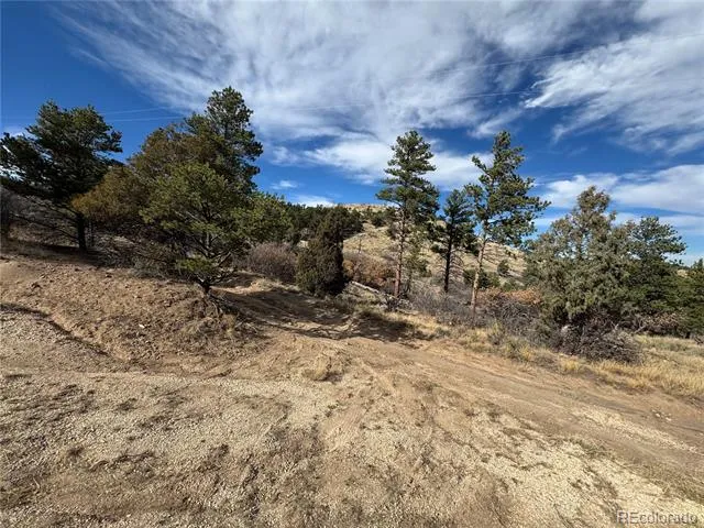 2926 E Path Cotopaxi, CO 81223