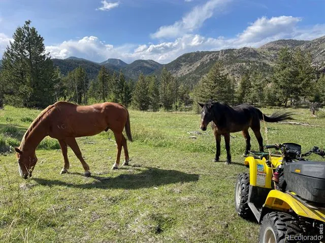 0 Hemlock Drive Lyons, CO 80540