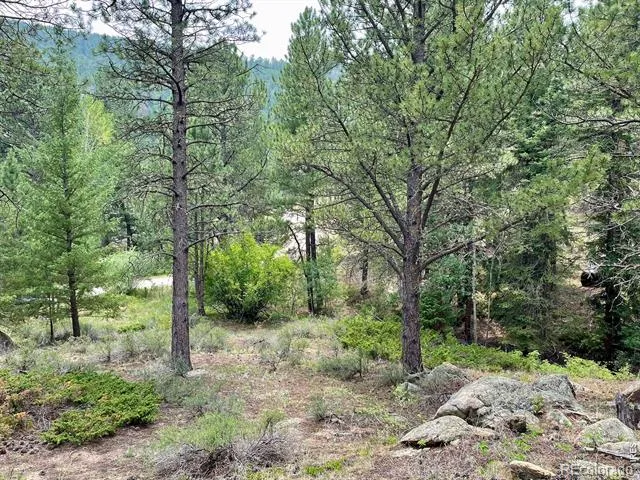0 Hemlock Drive Lyons, CO 80540