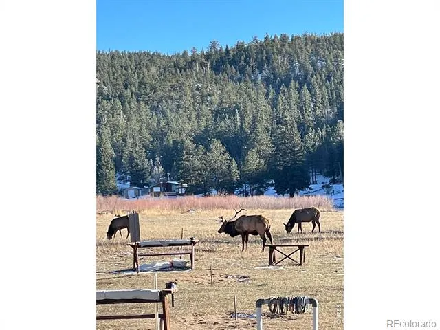 0 Hemlock Drive Lyons, CO 80540