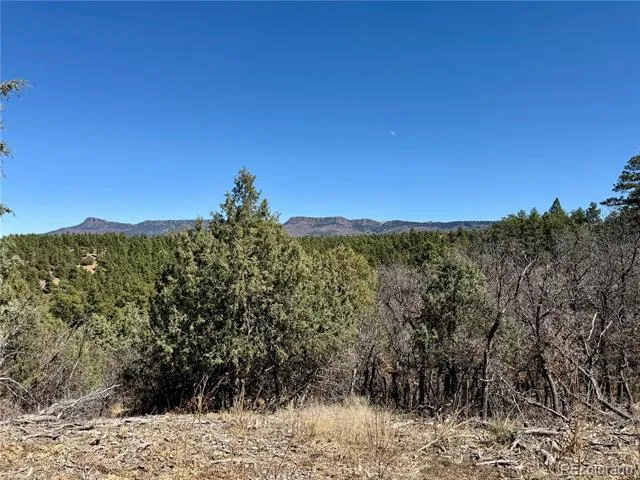 34999 Timber Park Drive Trinidad, CO 81082